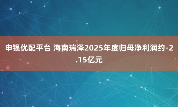 申银优配平台 海南瑞泽2025年度归母净利润约-2.15亿元