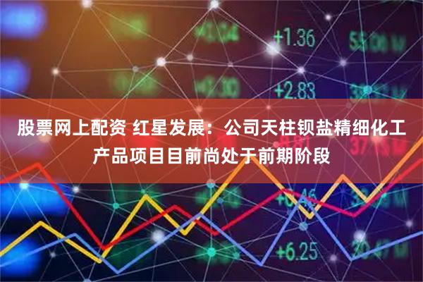 股票网上配资 红星发展：公司天柱钡盐精细化工产品项目目前尚处于前期阶段