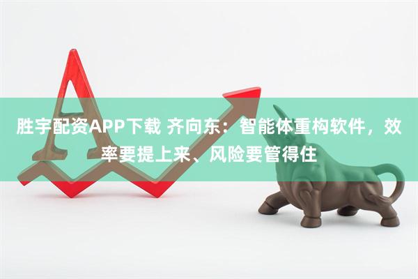 胜宇配资APP下载 齐向东：智能体重构软件，效率要提上来、风险要管得住